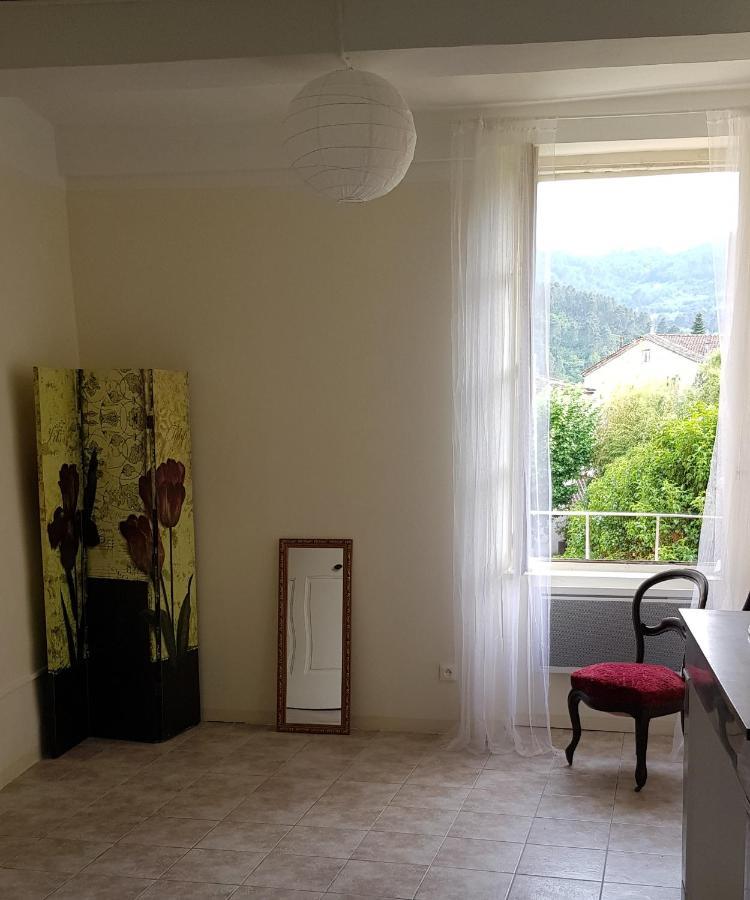 Vista Cevenol: Appartement 2 Chambres Saint-Jean-du-Gard Εξωτερικό φωτογραφία